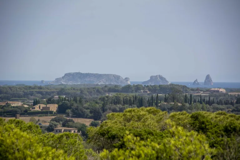 vistes a les illes medes des de pals pals - viatges mestres
