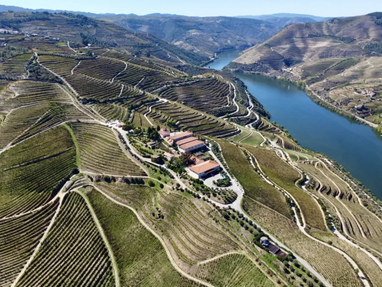 vistes dron vinyes duoro portugal